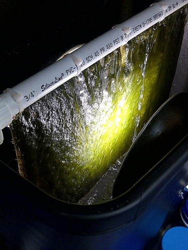 algae turf scrubber.jpg